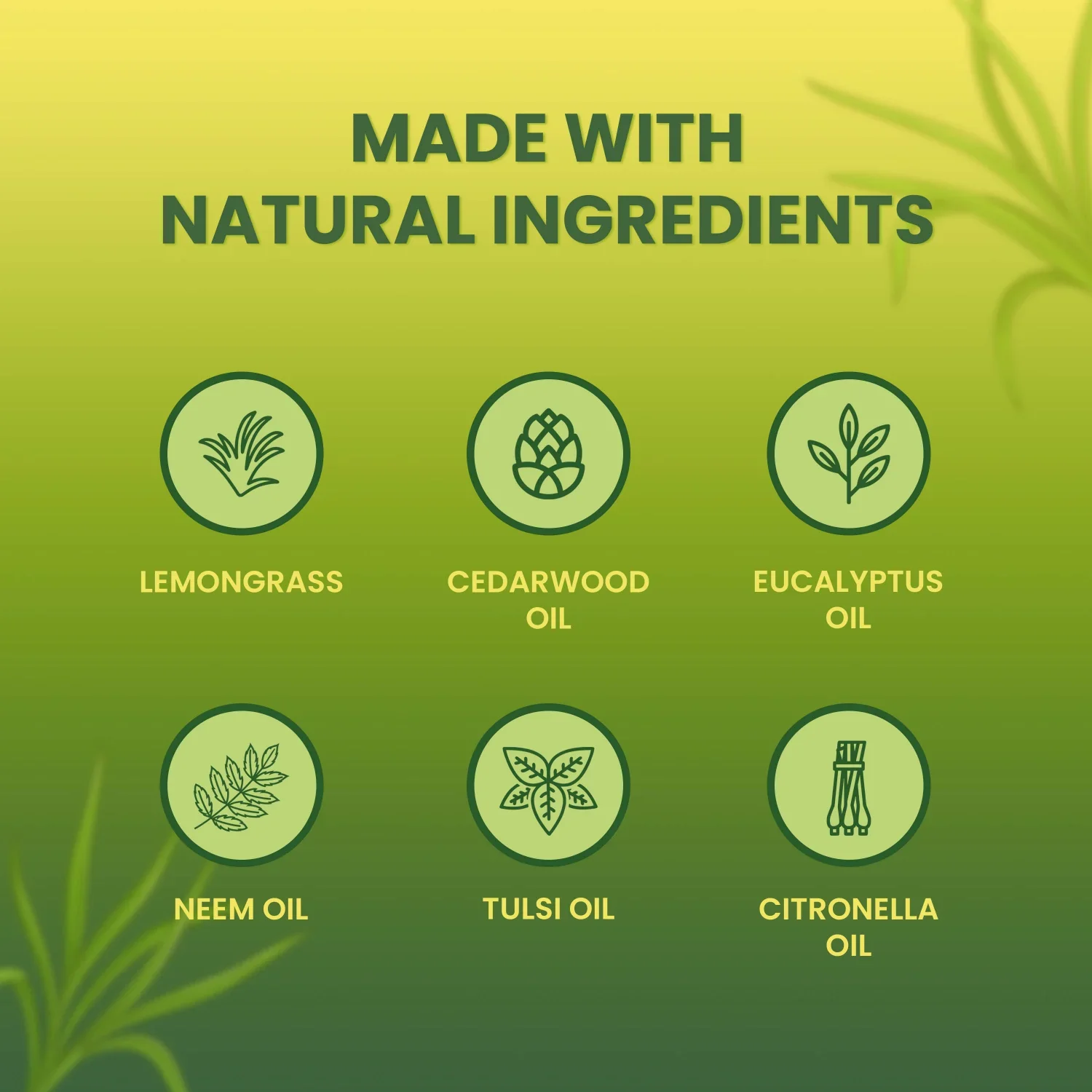Lemongrass - Mosquito Repellent COMBO - Image 8