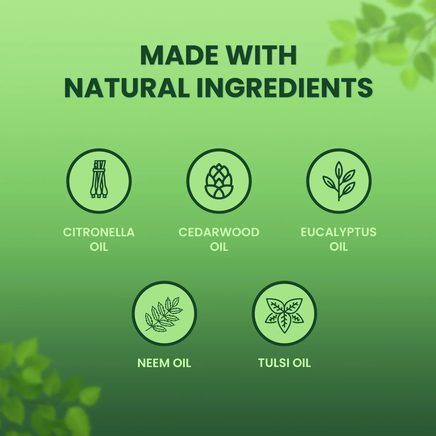 Organic - Mosquito Repellent COMBO - Image 8